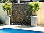 two tree wall
